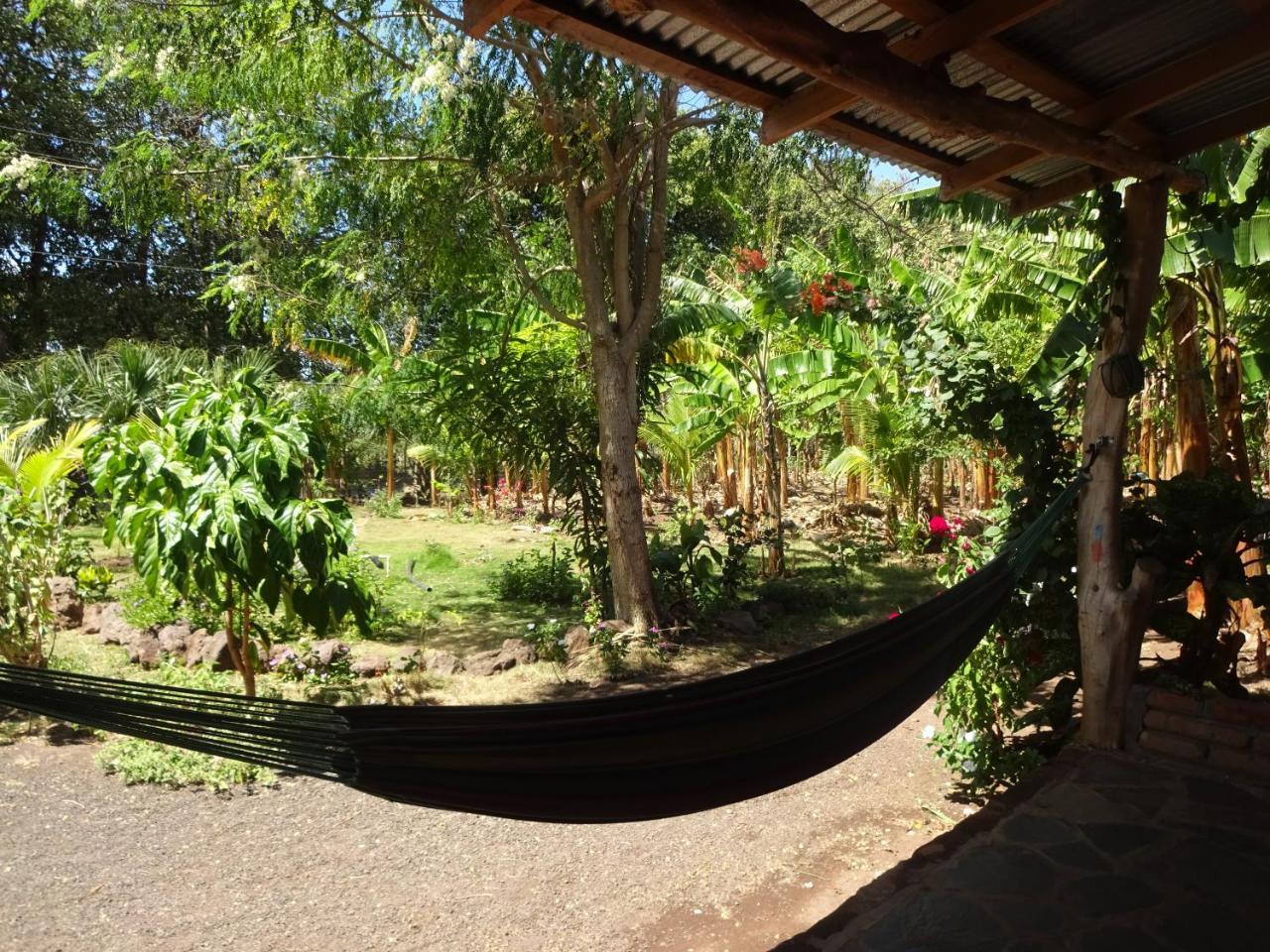 Homestay Casa Papaki *